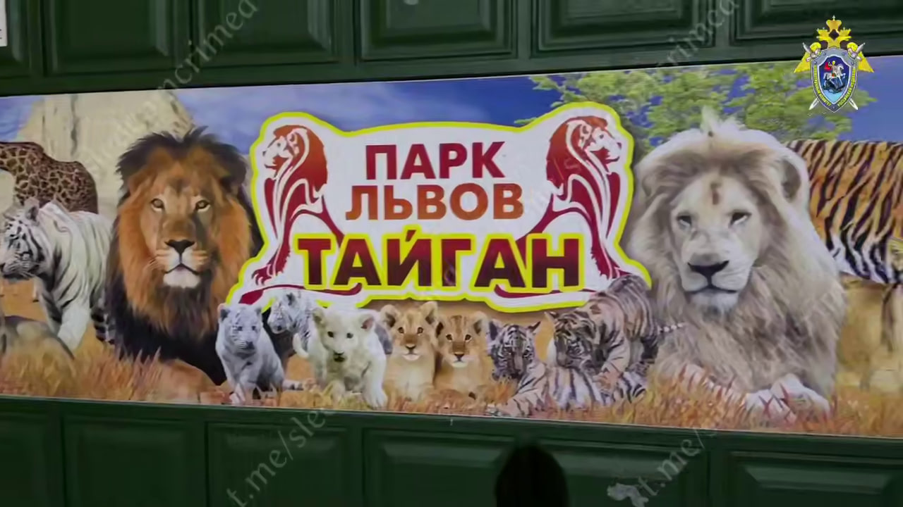 На директора и сотрудницу парка «Тайган» в Крыму напали разные львы