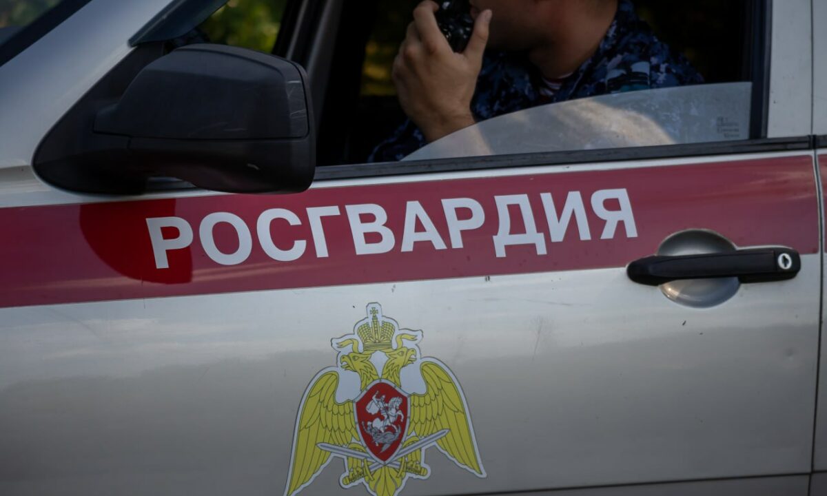 Пьяная женщина гоняла на авто без прав и скандалила с росгвардейцами в Армавире