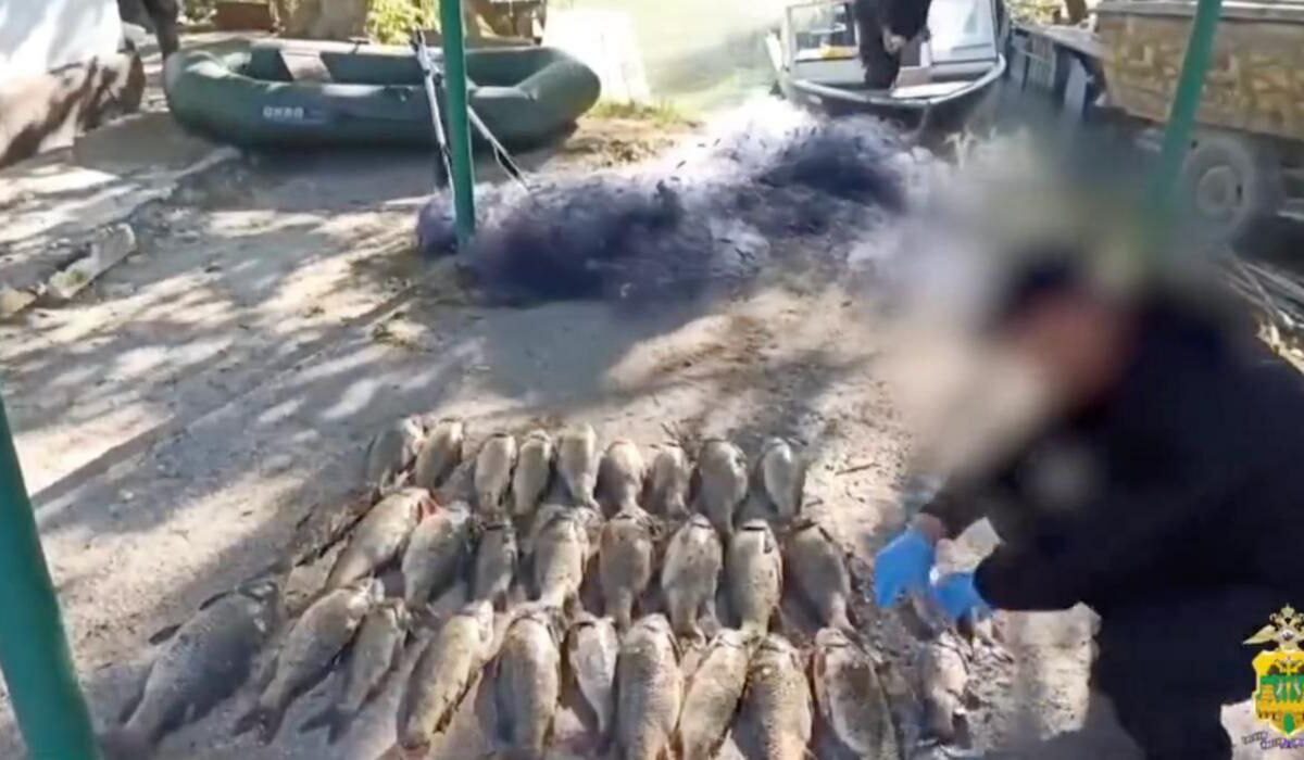 Улов на 150 тыс. рублей изъяли у трех браконьеров в двух районах Кубани