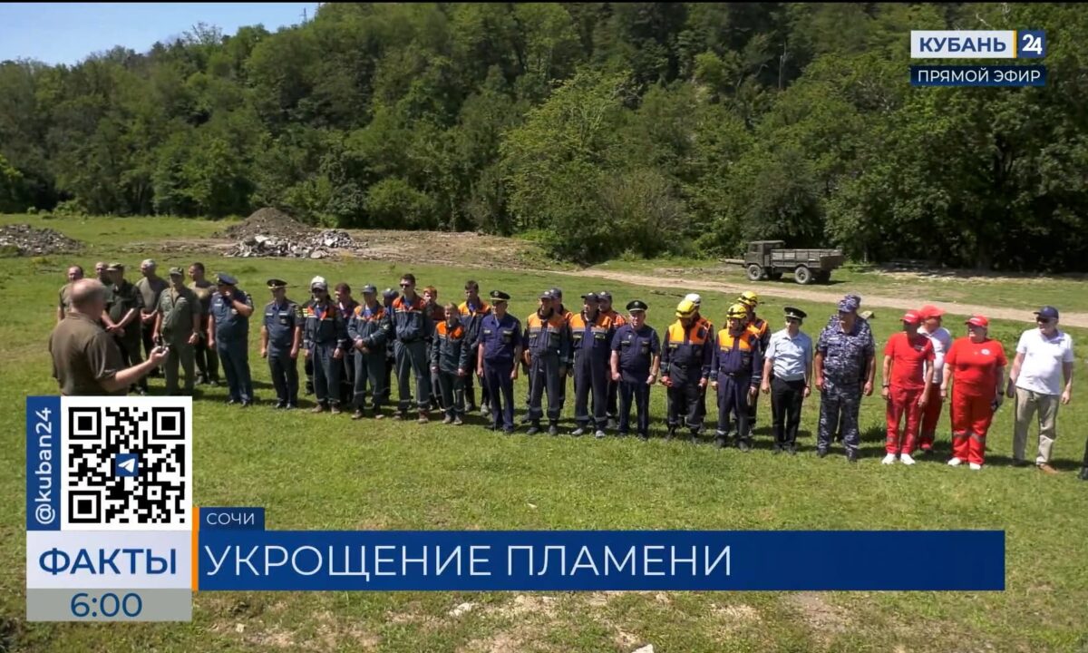Учения по тушению лесных пожаров прошли в Сочи