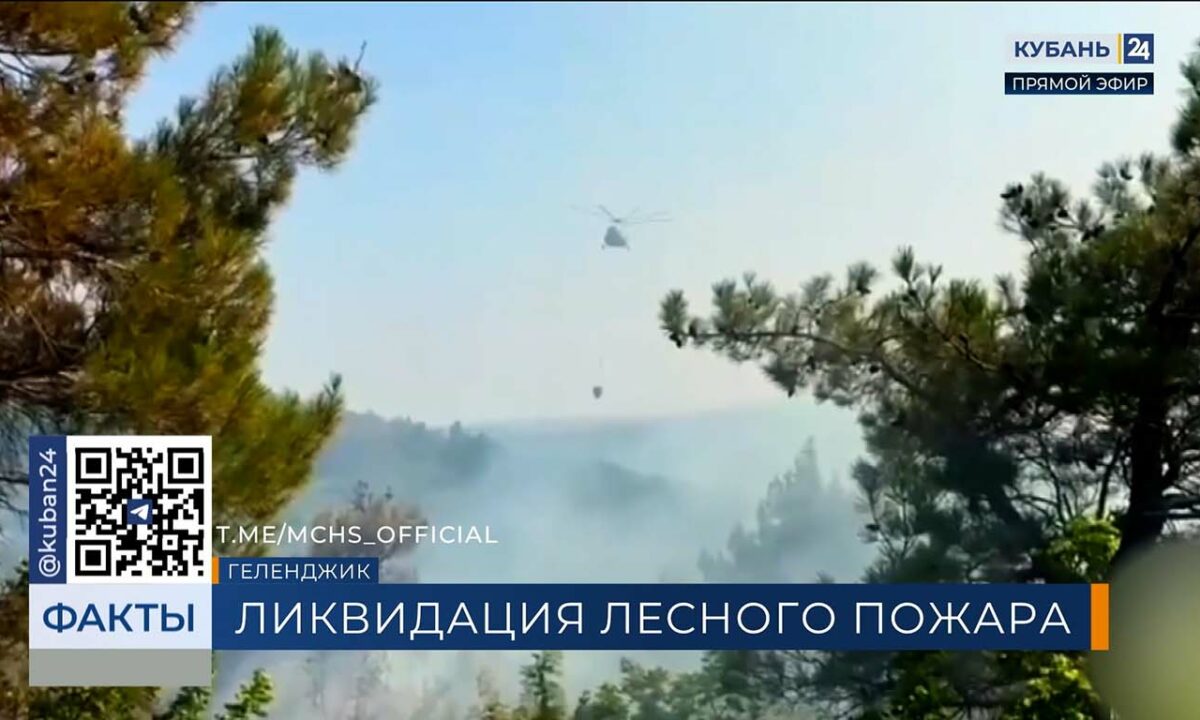 Лесной пожар в районе Кабардинки ликвидировали спустя сутки