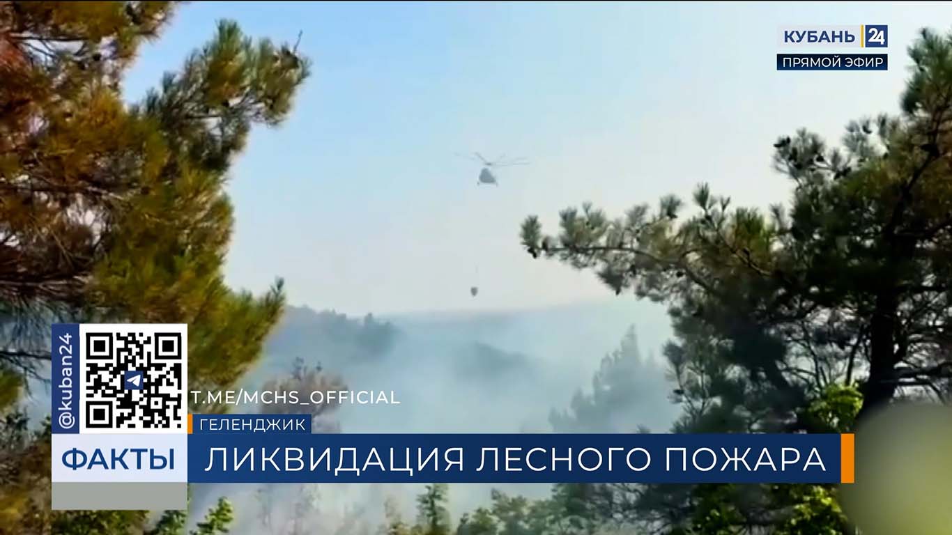 Лесной пожар в районе Кабардинки ликвидировали спустя сутки