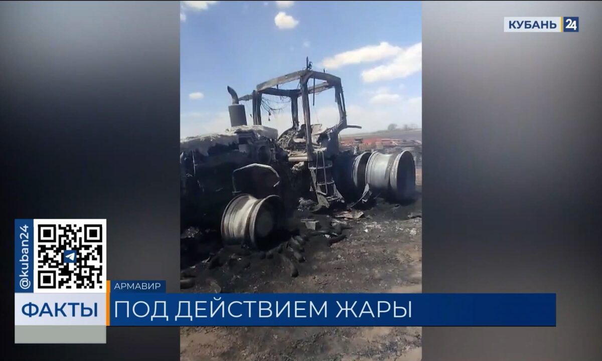 Почти 250 га посевов уничтожено пожарами за время июльской жары на Кубани