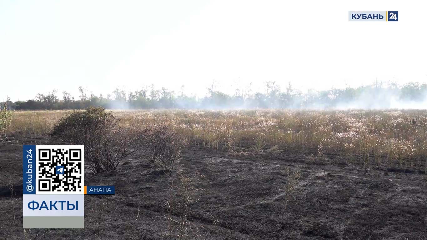 Очевидцы рассказали подробности о пожаре в пригороде Анапы
