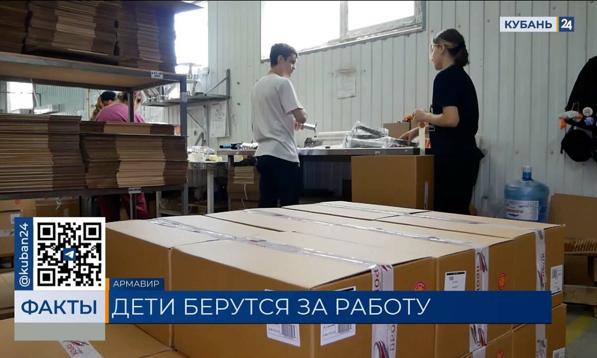 За 10 лет более 300 тыс. школьников трудоустроились в Краснодарском крае