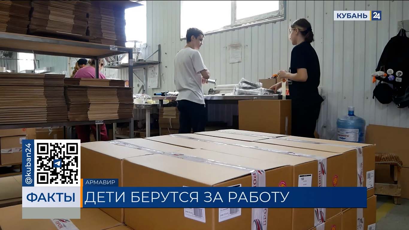 За 10 лет более 300 тыс. школьников трудоустроились в Краснодарском крае