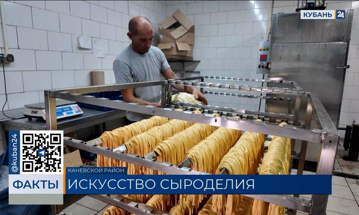 Более 10 видов сыра производят на семейном предприятии в Каневском районе