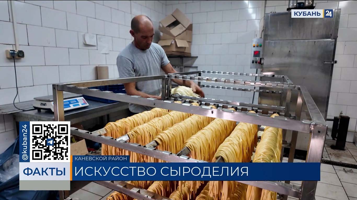 Более 10 видов сыра производят на семейном предприятии в Каневском районе