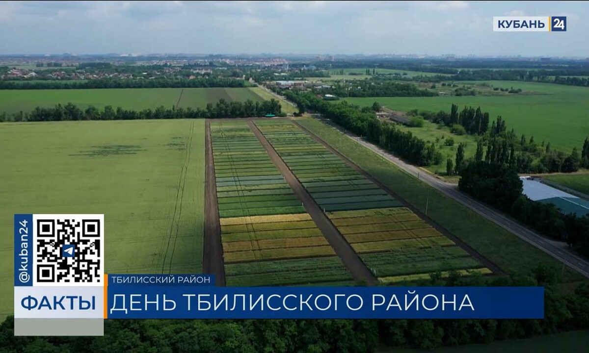 Тбилисскому району посвятили выпуск 23 июля на телеканале «Кубань 24»