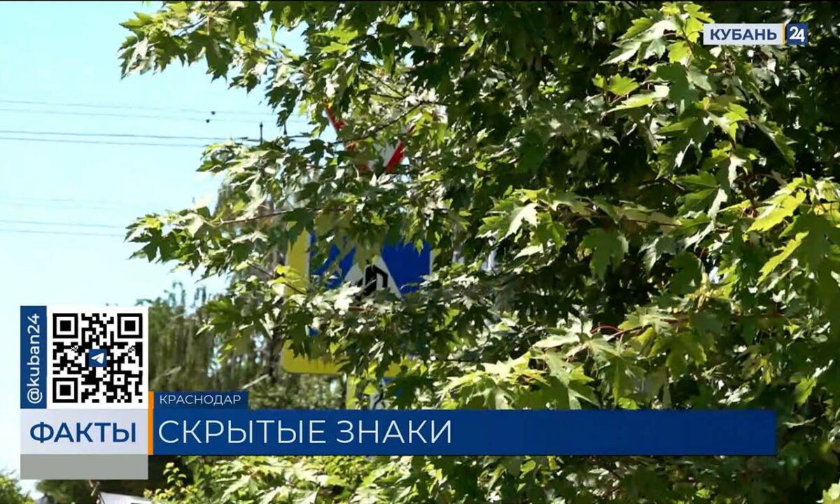 Водители пожаловались на скрывающиеся за листвой дорожные знаки в Краснодаре