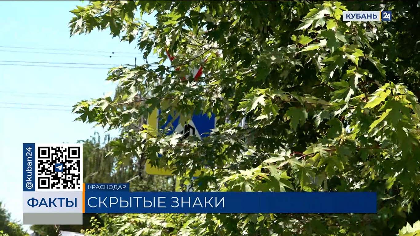Водители пожаловались на скрывающиеся за листвой дорожные знаки в Краснодаре