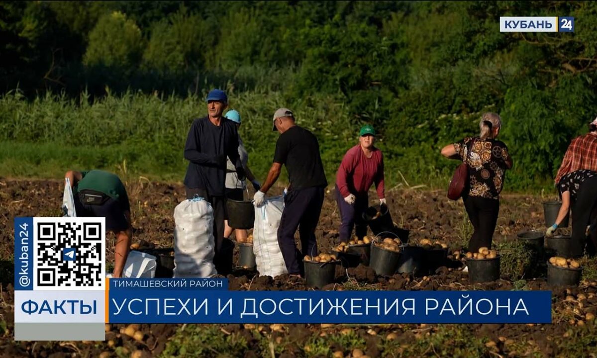 Тимашевские казаки вошли в число лидеров по производству сельхозпродукции