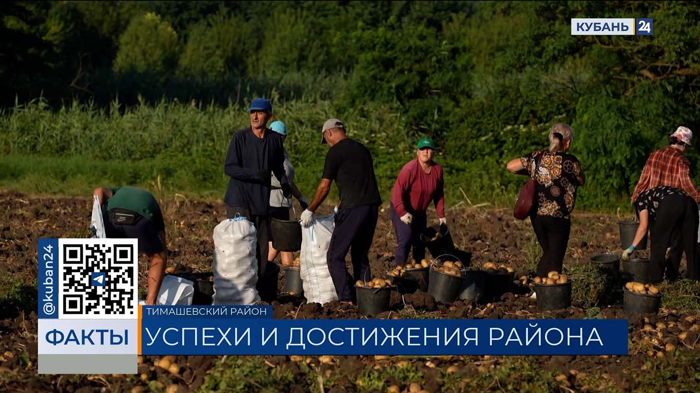 Тимашевские казаки вошли в число лидеров по производству сельхозпродукции