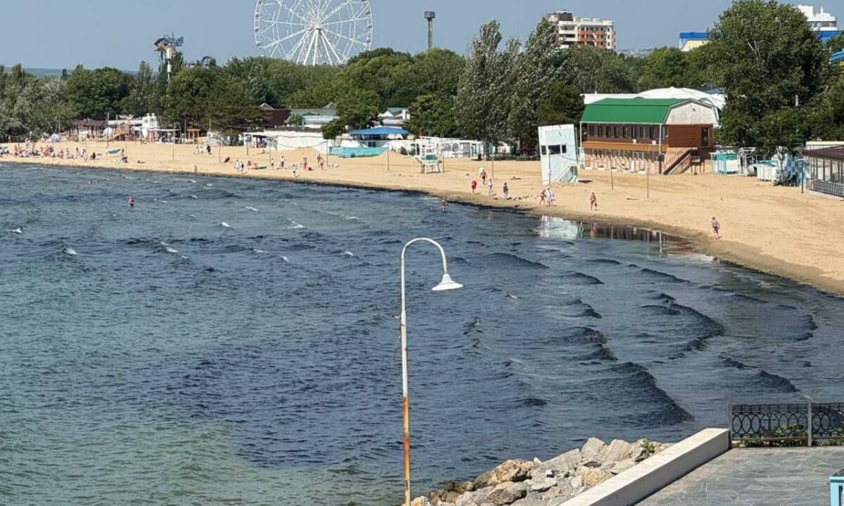 В оперштабе опровергли наличие мазута в черных водорослях на побережье Анапы