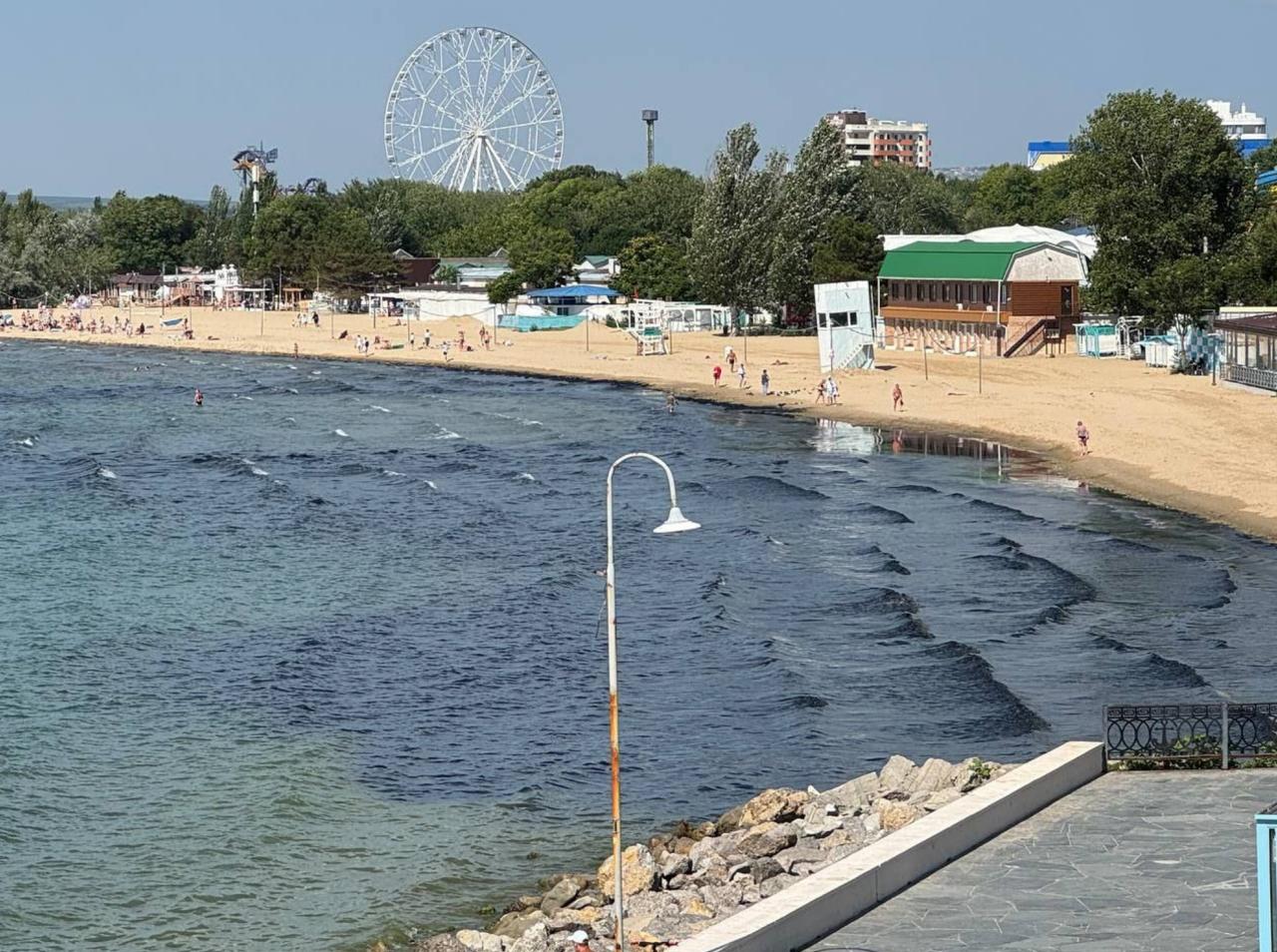 В оперштабе опровергли наличие мазута в черных водорослях на побережье Анапы