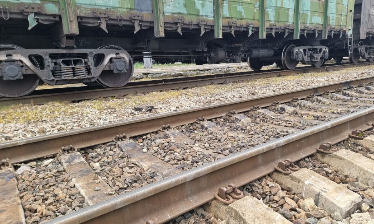 Грузовой поезд насмерть сбил пьяную женщину в Белореченском районе