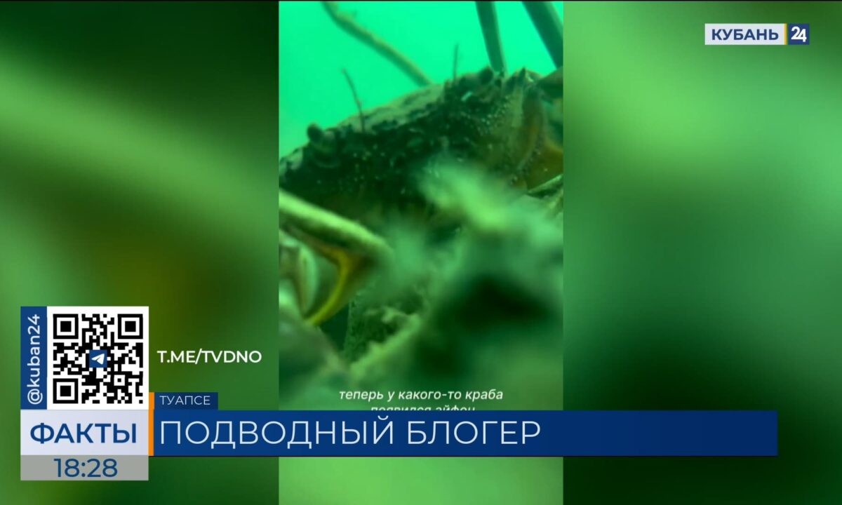 Краб пытался сделать селфи под водой в Туапсе