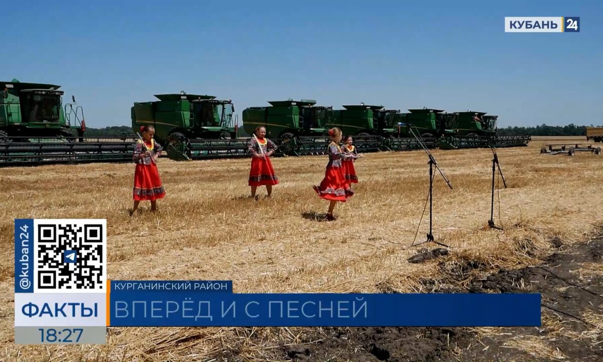 Выездные концерты для хлеборобов проводят в Курганинском районе