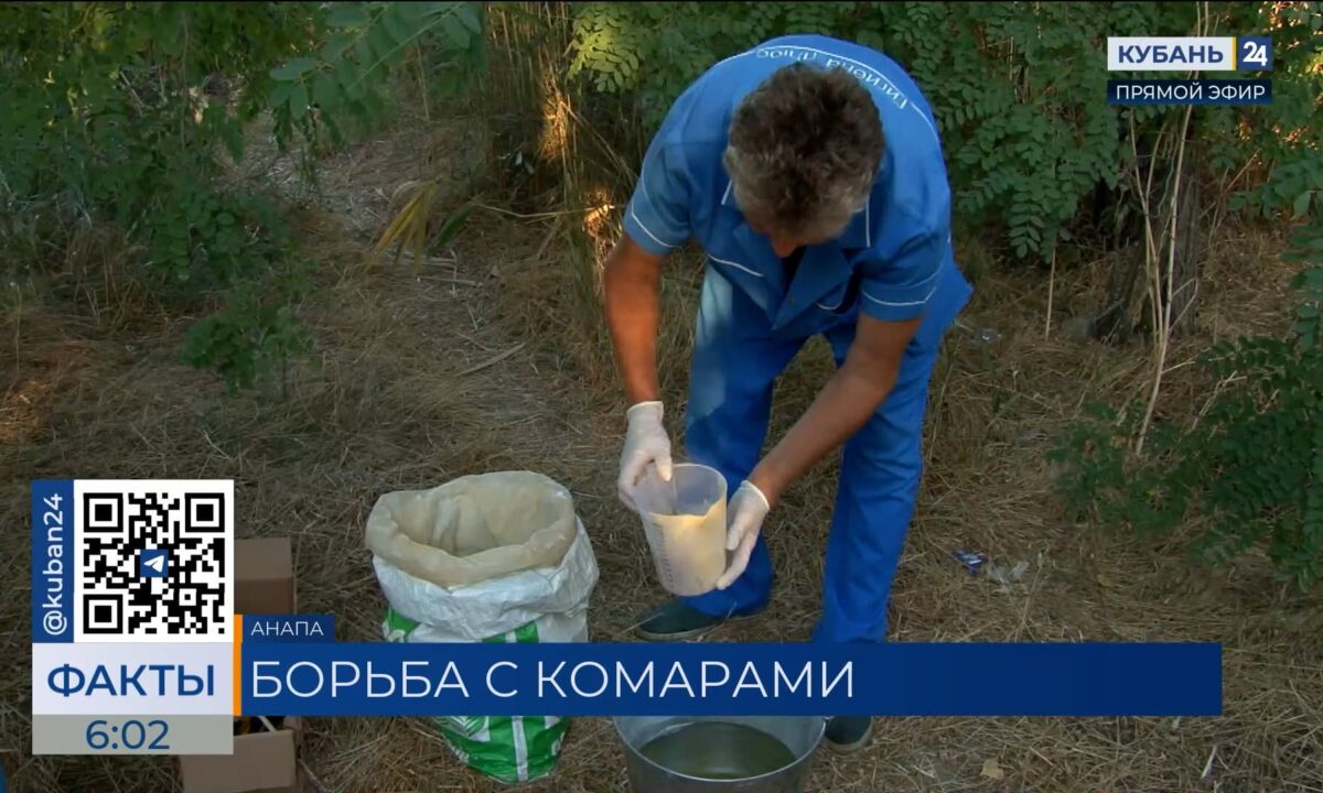 В Анапе проведут обработку водоемов от личинок комаров