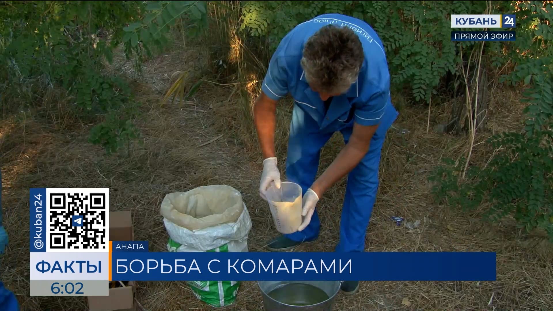 В Анапе проведут обработку водоемов от личинок комаров