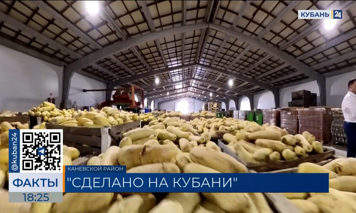 Знак качества «Сделано на Кубани» получил консервный завод в Каневском районе
