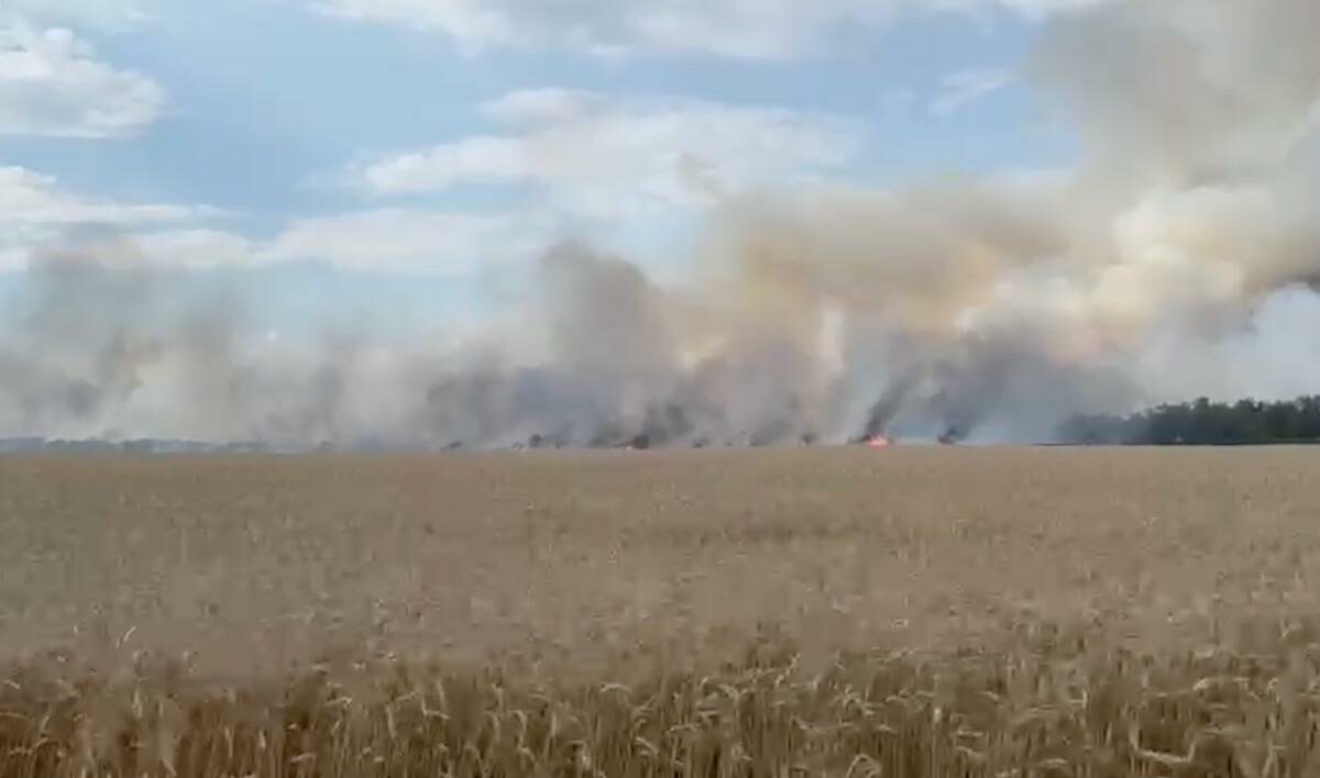 Пшеничное поле загорелось в Кореновском районе