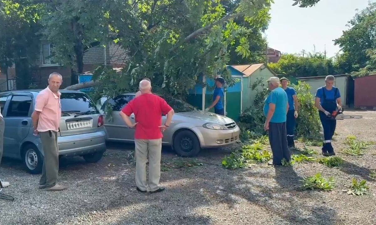 Упавшие из-за непогоды деревья повредили автомобили в станице Ленинградской