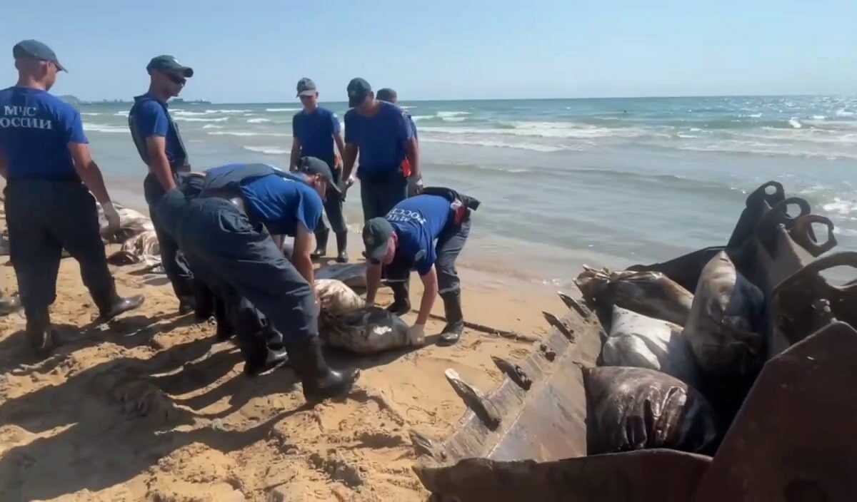Водолазы подняли со дна 73 мешка с мазутом 23 июля у берегов Анапы