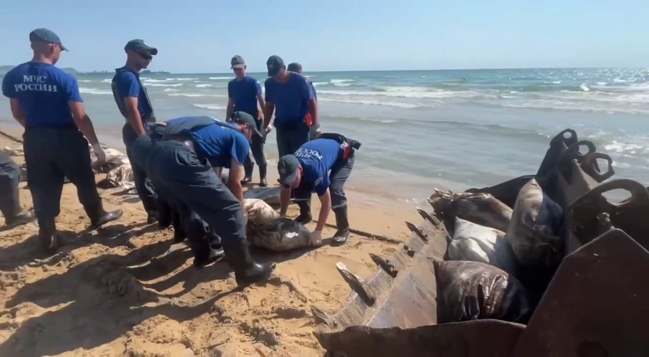 Водолазы подняли со дна 73 мешка с мазутом 23 июля у берегов Анапы