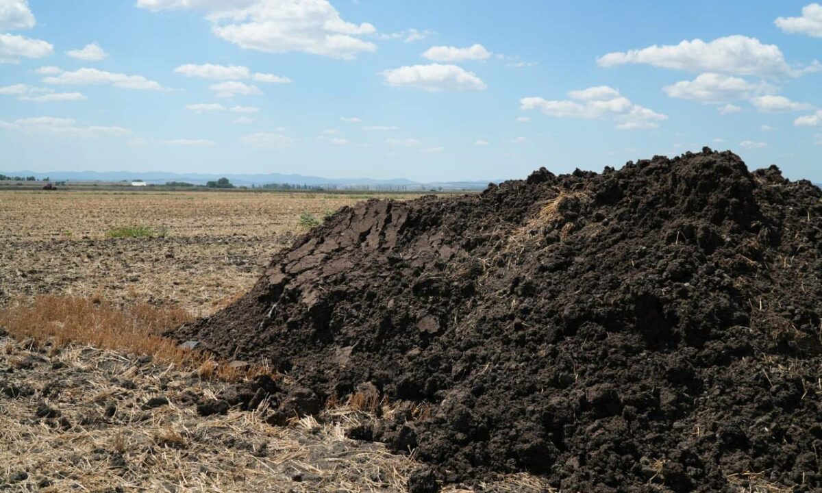 Власти объяснили причину неприятного запаха в Крымске