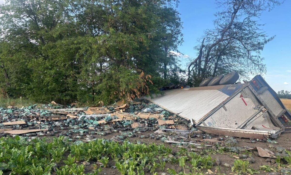В Гулькевичском районе большегруз вылетел с трассы и опрокинулся, водитель погиб
