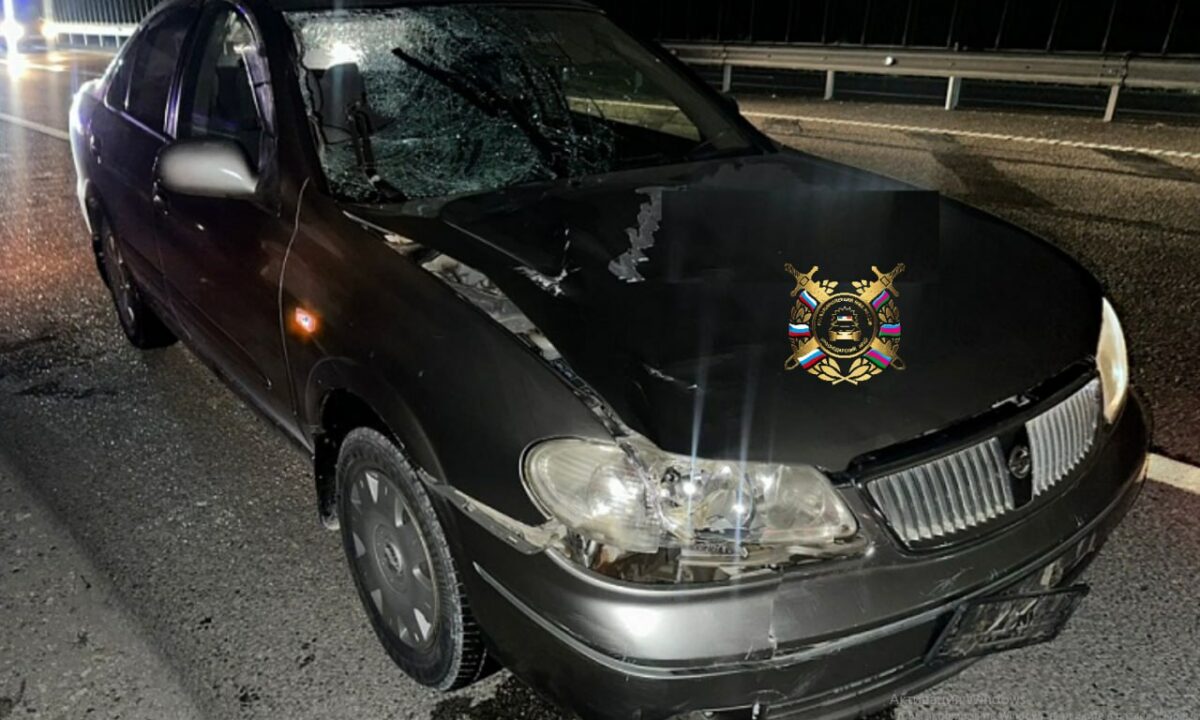В Геленджике иномарка насмерть сбила пешехода, переходившего дорогу в темноте