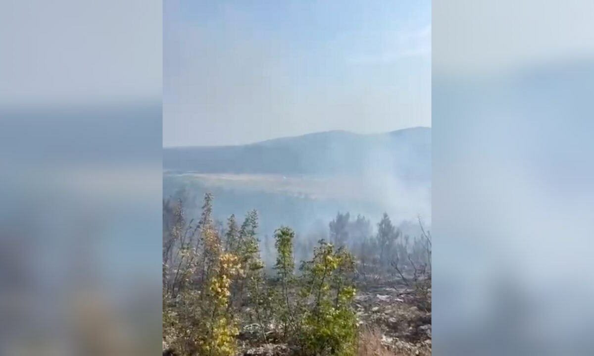 Линию электропередачи отключили вблизи лесного пожара в пригороде Геленджика
