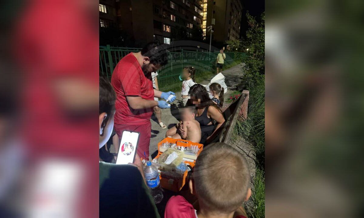 Дворовая собака покусала маленького мальчика на детской площадке в Сочи