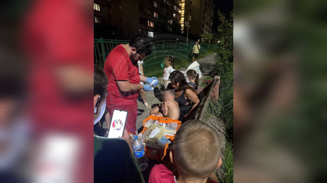 Дворовая собака покусала маленького мальчика на детской площадке в Сочи