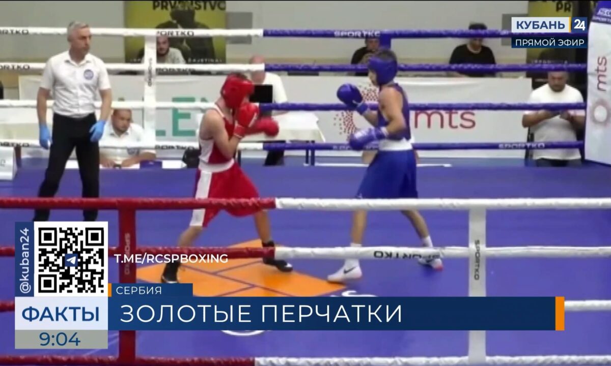 Кубанские юные боксеры привезли четыре золотых медали с первенства Европы