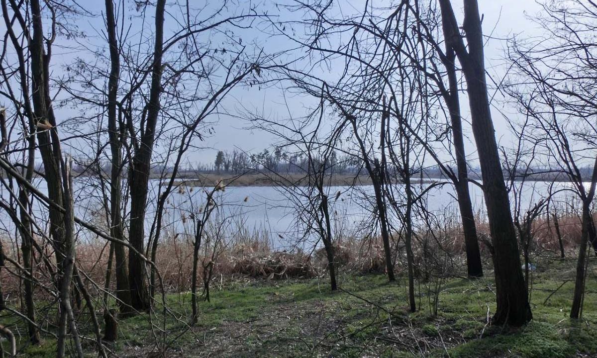 Труп неизвестного мужчины нашли в реке Кочеты в Динском районе