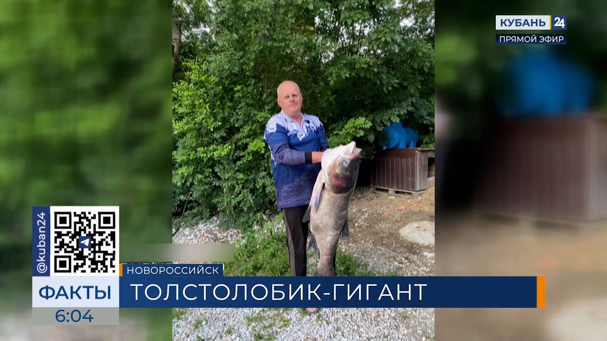 В Новороссийске поймали 18-килограммового толстолобика