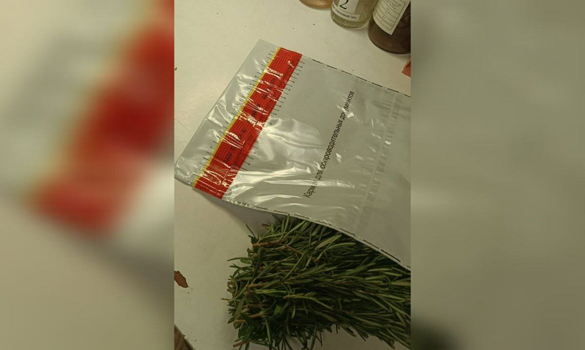 Цветочный трипс выявили в 30 кг розмарина из Армении в аэропорту Сочи