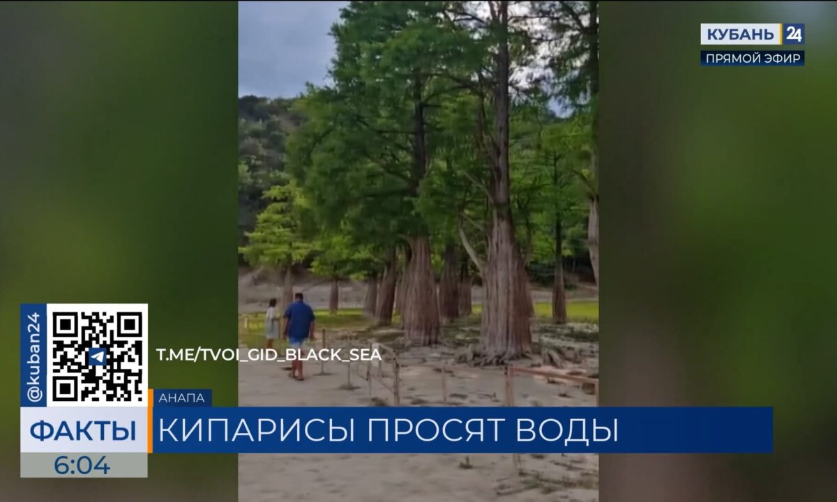 Озеро с кипарисами под Анапой снова обмелело из-за засухи