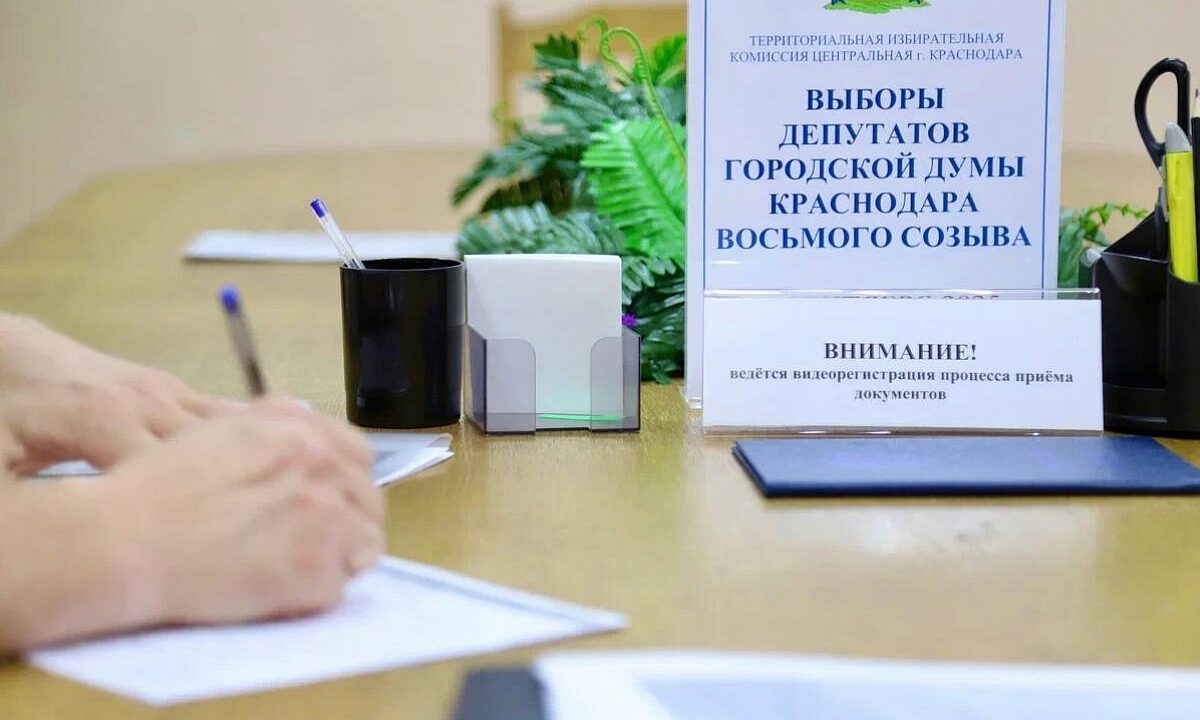 Почти 500 человек подали заявления о выдвижении в гордуму Краснодара