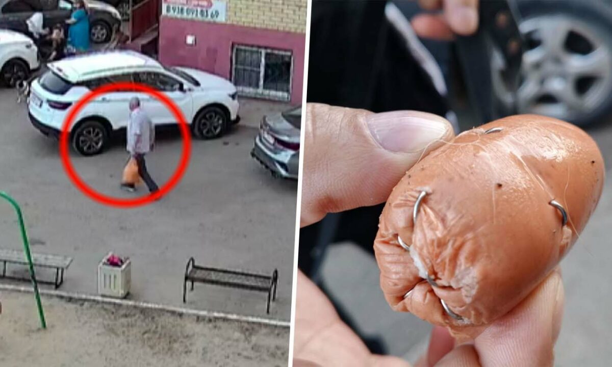 Очевидцы рассказали о догхантере, разбросавшем сосиски с крючками в Краснодаре