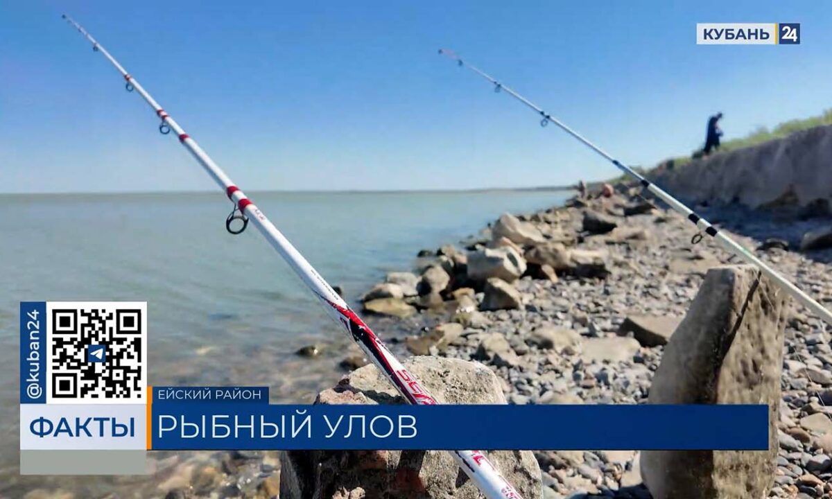 Рыбаки похвалились отличным уловом в Ейске