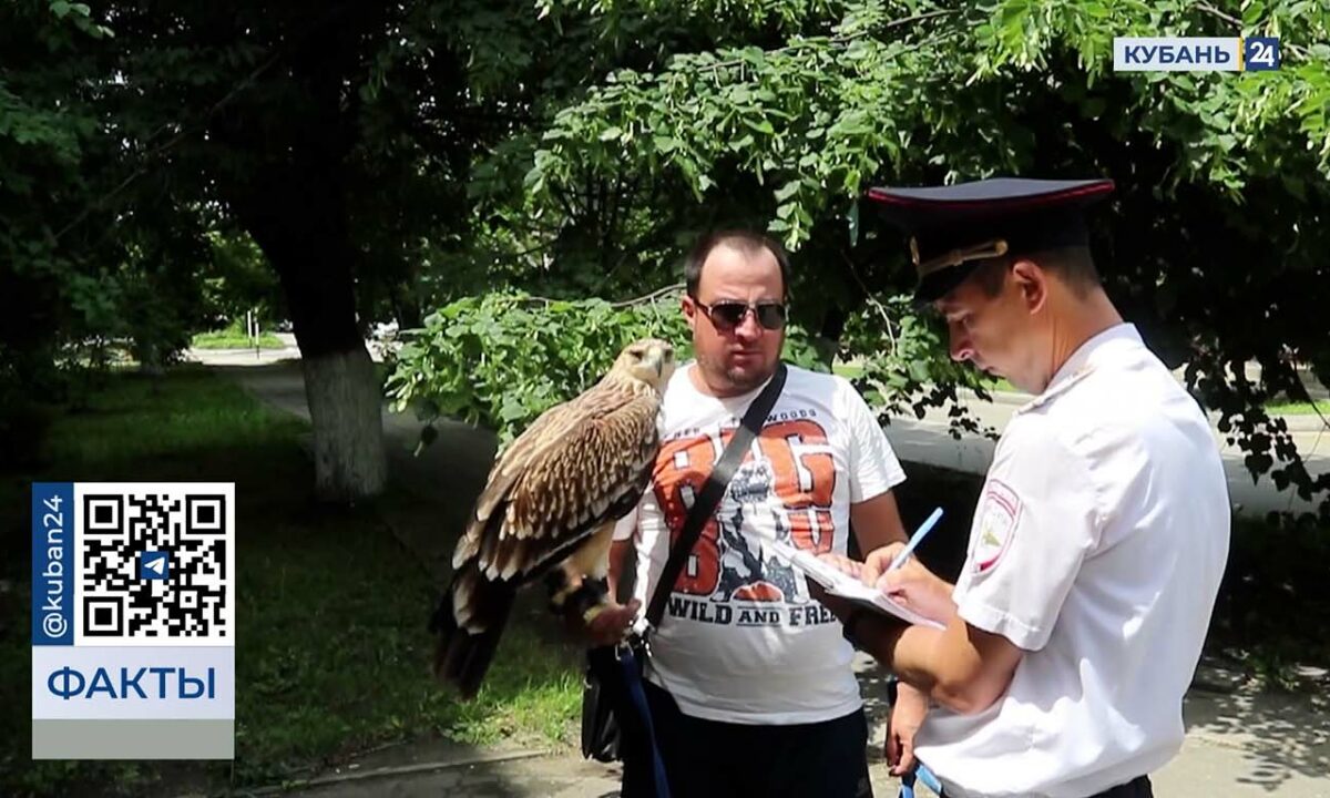 С начала курортного сезона более 40 зоофотографов оштрафовали на Кубани