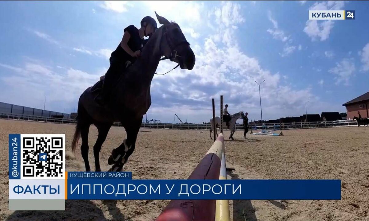 Ипподром у дороги для туристов открыли в Кущевском районе