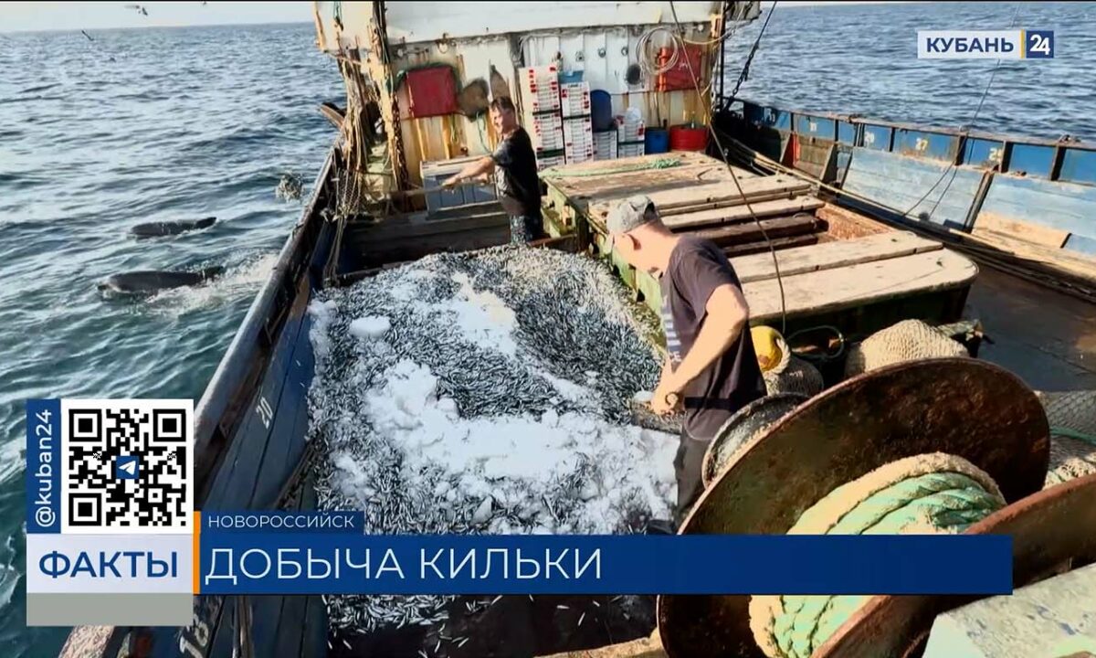 Рыбный промысел в Азовском и Черном морях увеличился на 47%