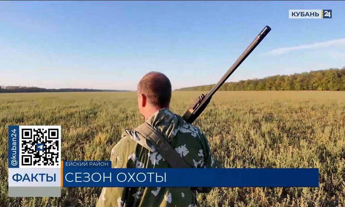 Охотники Кубани пожаловались на малое количество дичи в новом сезоне