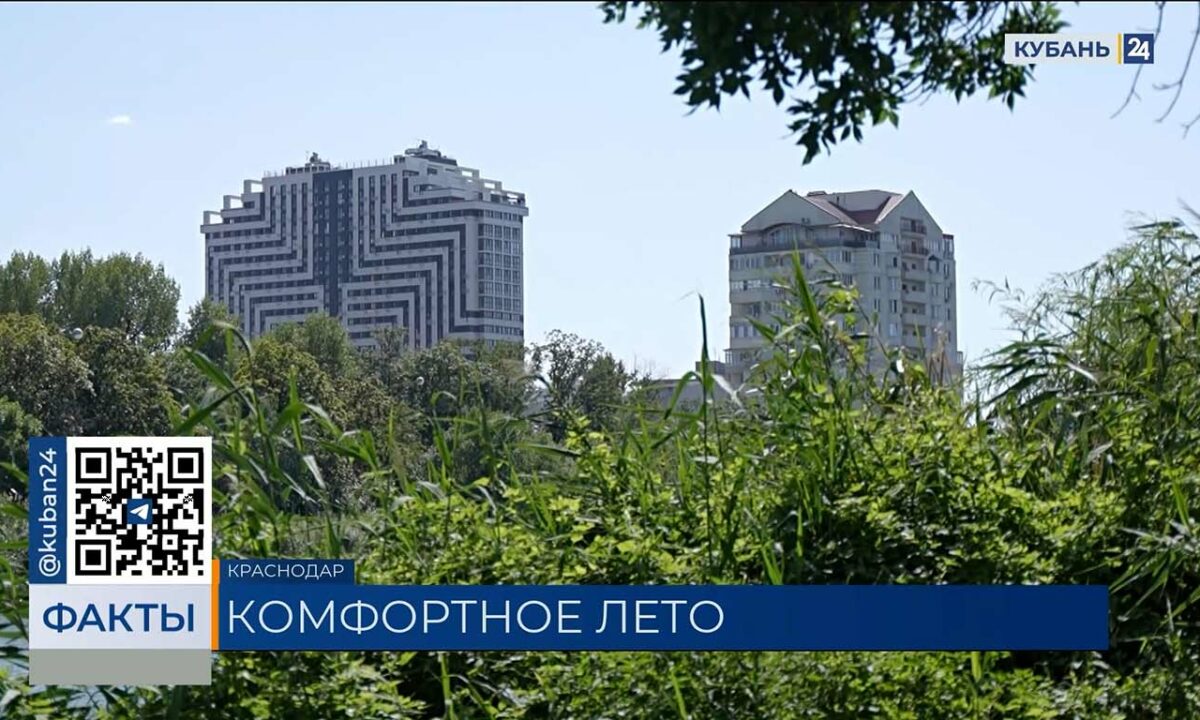 Северный ветер принес прохладу на Кубань: ждать ли возвращения летнего зноя?