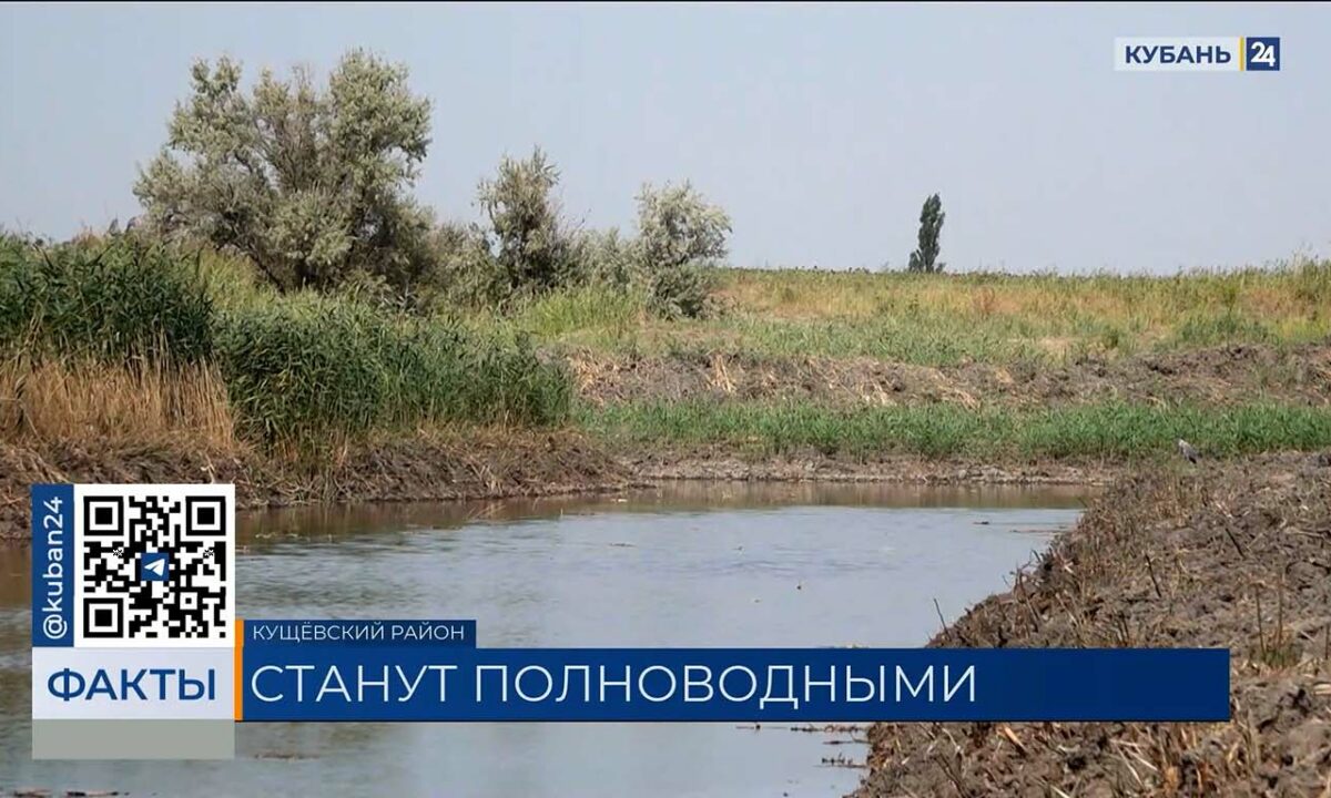 Почти 150 млн рублей направят на расчистку рек в Краснодарском крае