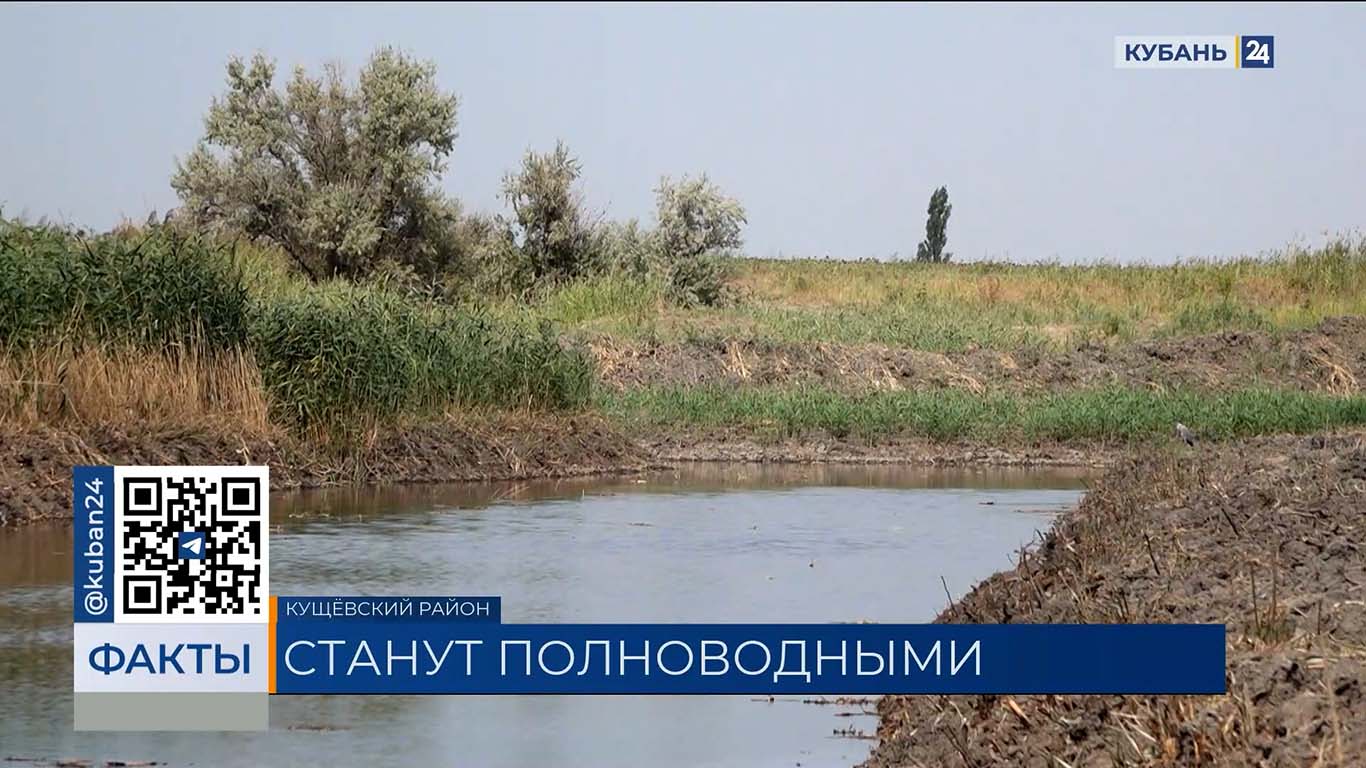 Почти 150 млн рублей направят на расчистку рек в Краснодарском крае